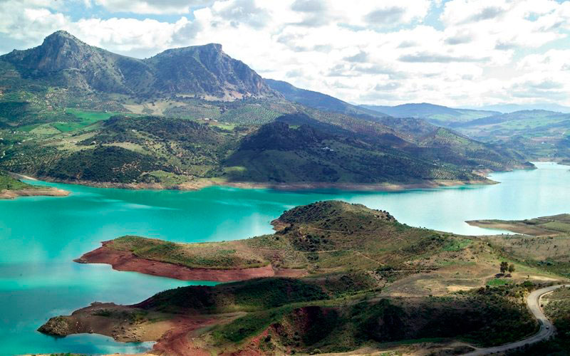 Naturaleza Pura